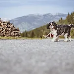 Panorama Guggenbichl - Inkl Sommerkarte, Einmaliger Eintritt Ins Tauern & Bester Ausblick Ueber Kaprun