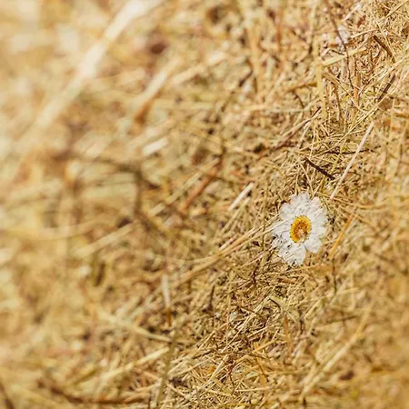 Appartamento Panorama Guggenbichl - Inkl Sommerkarte, Einmaliger Eintritt Ins Tauern & Bester Ausblick Ueber