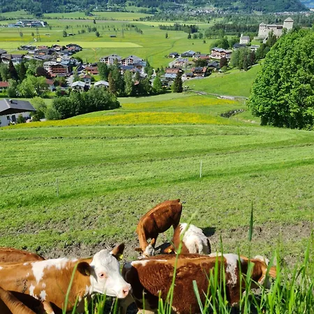 Panorama Guggenbichl: Alpine Views & Access Kaprun