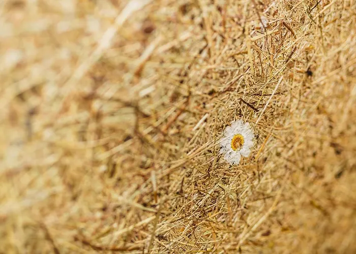 Lägenhet Panorama Guggenbichl - Inkl Sommerkarte, Einmaliger Eintritt Ins Tauern & Bester Ausblick Ueber