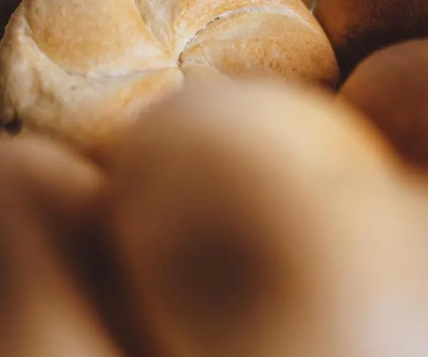 Panorama Guggenbichl - Inkl Sommerkarte, Einmaliger Eintritt Ins Tauern & Bester Ausblick Ueber Appartement Kaprun