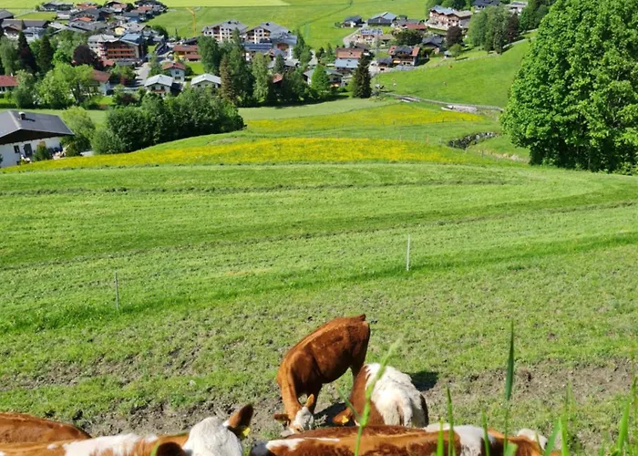 Panorama Guggenbichl - Inkl Sommerkarte, Einmaliger Eintritt Ins Tauern & Bester Ausblick Ueber Kaprun